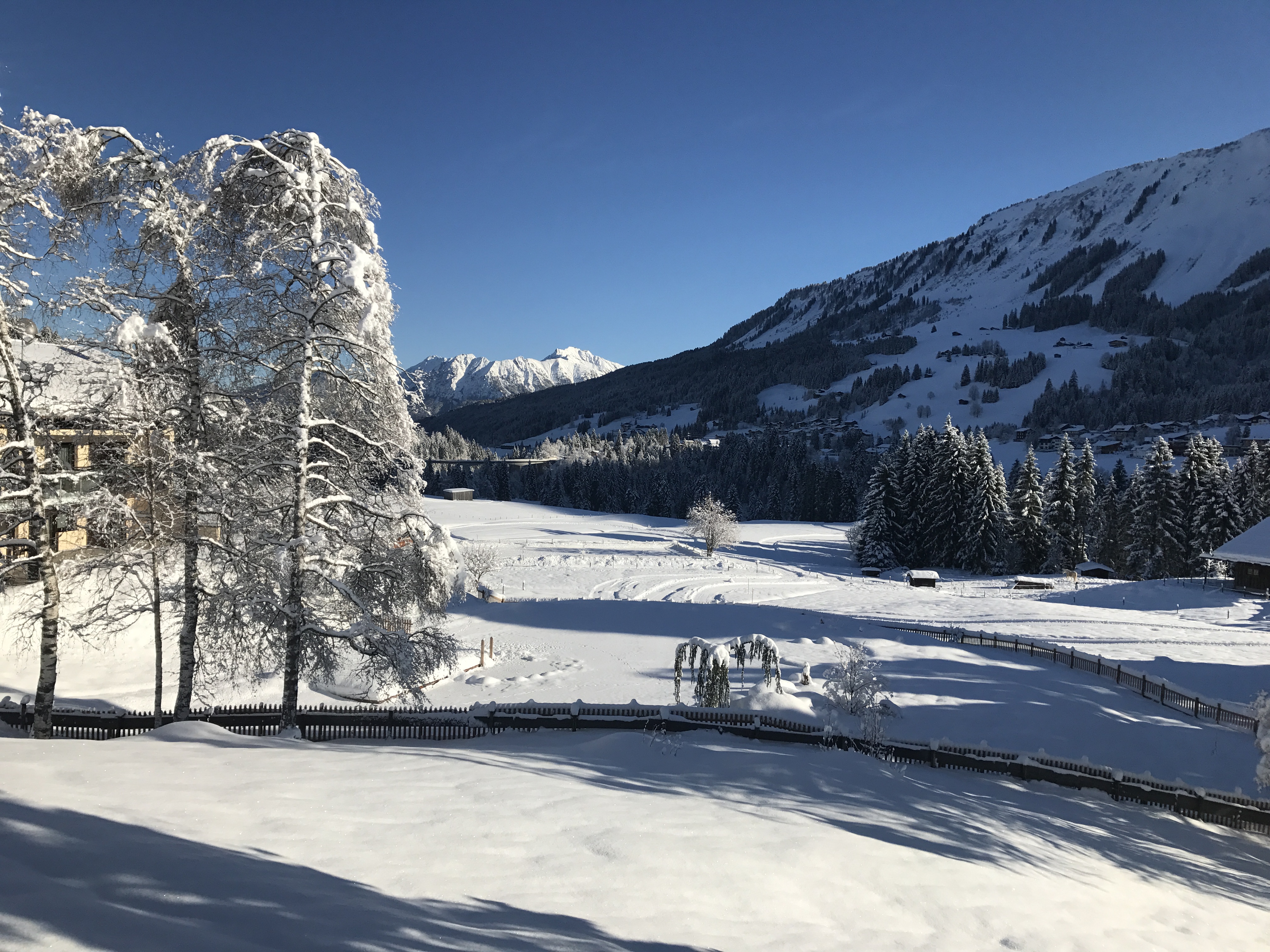 Blick zu Fellhorn und Nebelhorn 2018